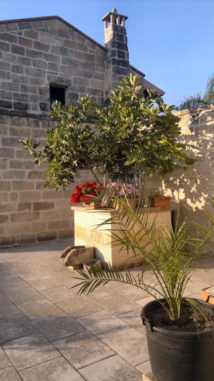 מלון טורה דל'אורסו Masseria Grande מראה חיצוני תמונה