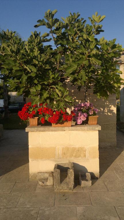 מלון טורה דל'אורסו Masseria Grande מראה חיצוני תמונה