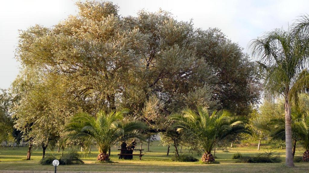 מלון טורה דל'אורסו Masseria Grande מראה חיצוני תמונה