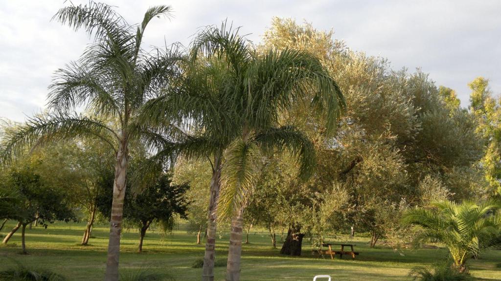 מלון טורה דל'אורסו Masseria Grande מראה חיצוני תמונה